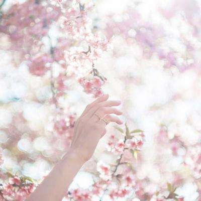 江南足球app下载截图